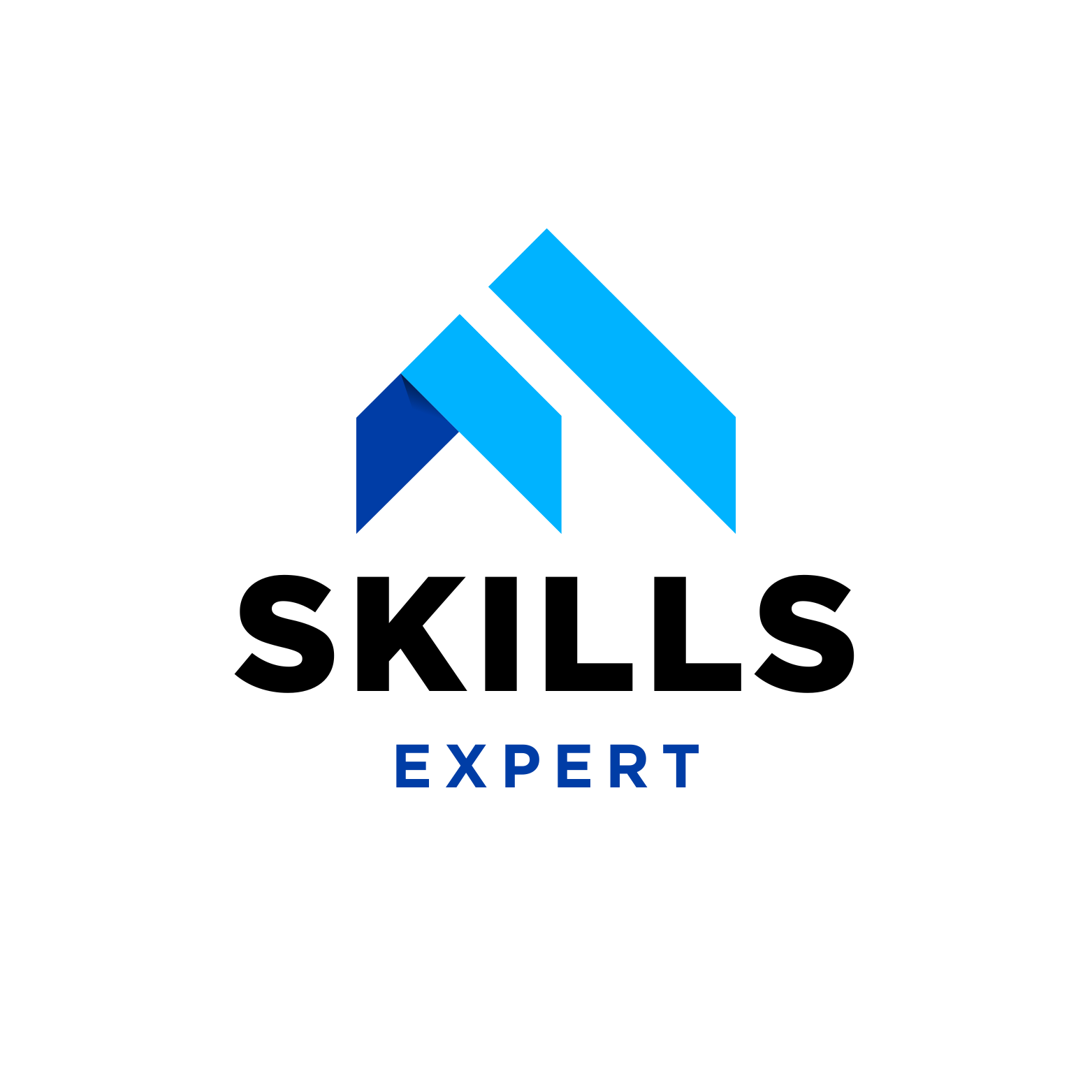 skillsexpert-int.com skillsexpert-int.com